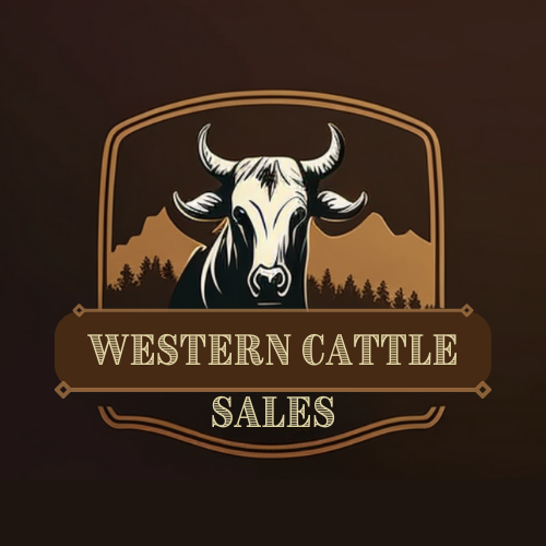 Western Cattle Sales